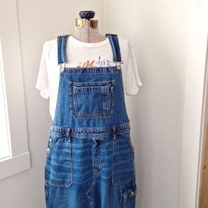 AEO Overall Jean Dress